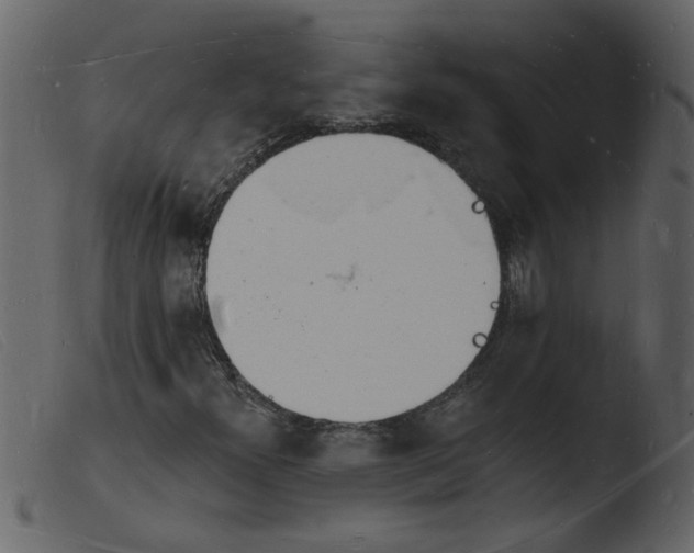 X0000103971300200810101258