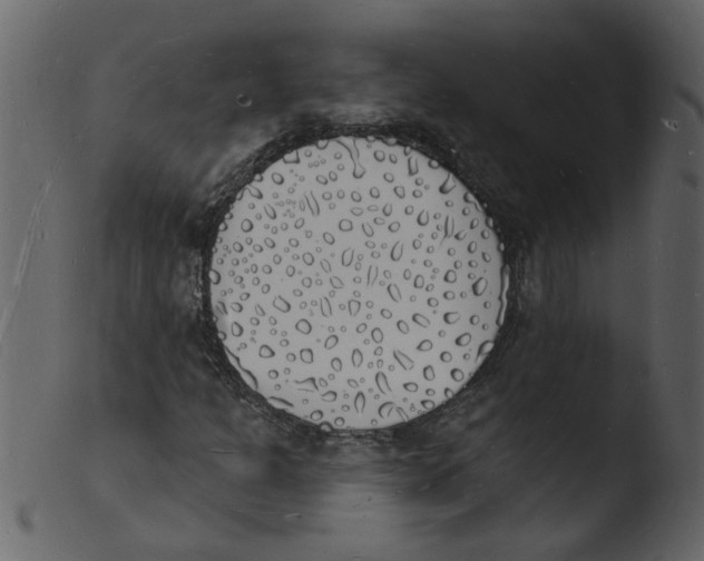 X0000103971301200810101258