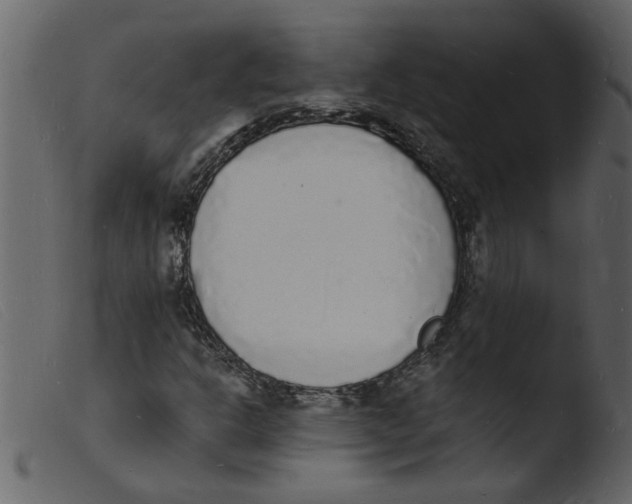 X0000103971302200810101258