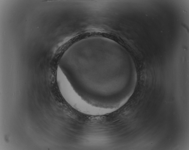 X0000103971303200810101258