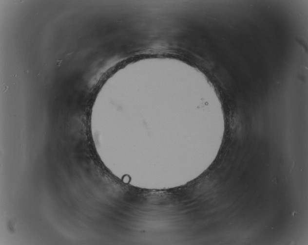 X0000103971304200810101258