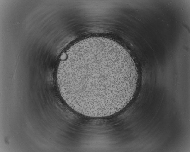 X0000103971305200810101258