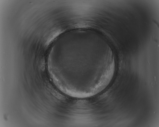 X0000103971306200810101258