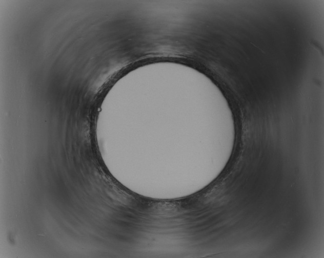 X0000103971307200810101258