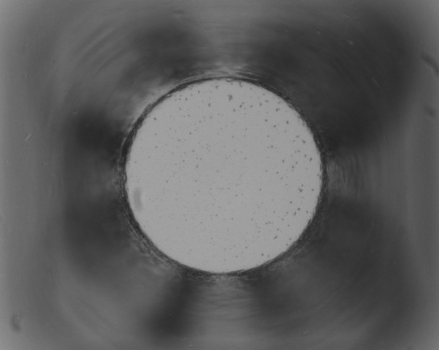 X0000103971308200810101258