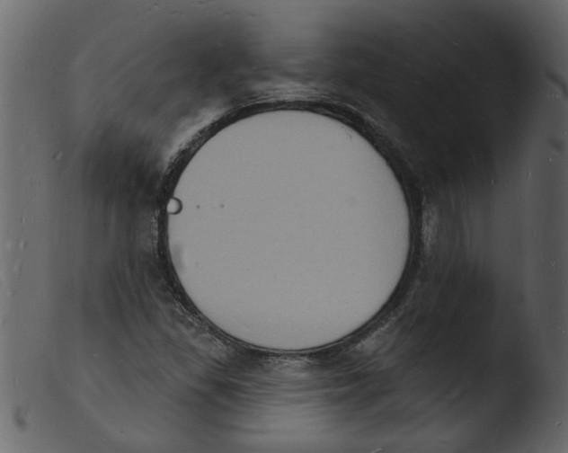 X0000103971309200810101258