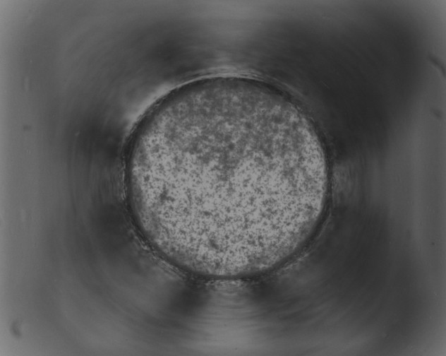 X0000103971310200810101258