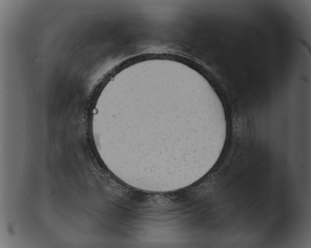 X0000103971311200810101258