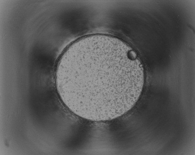 X0000103971312200810101258