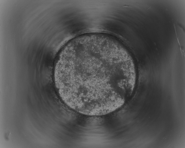 X0000103971314200810101258