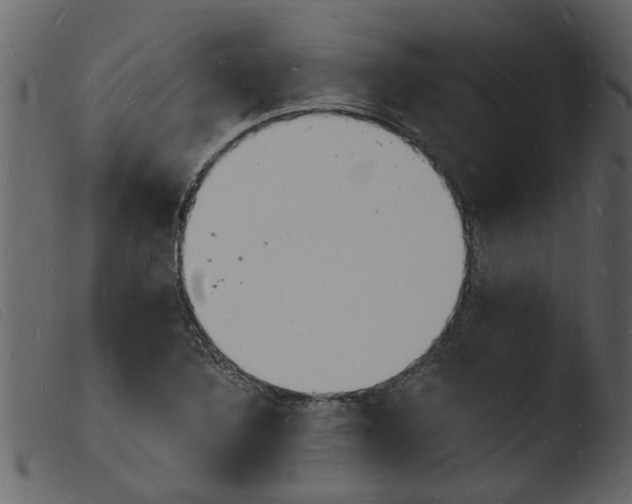 X0000103971316200810101259