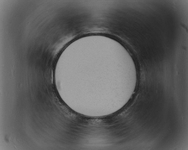 X0000103971317200810101259