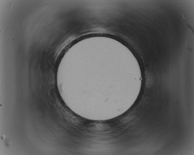 X0000103971318200810101259