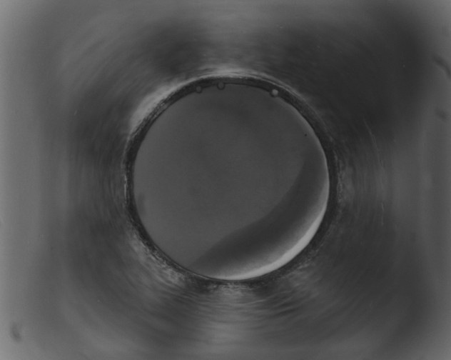 X0000103971319200810101259