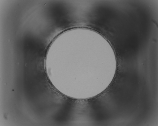 X0000103971320200810101259