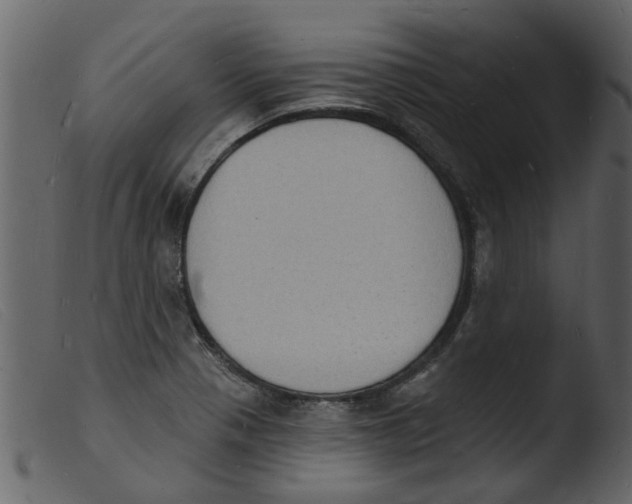 X0000103971321200810101259