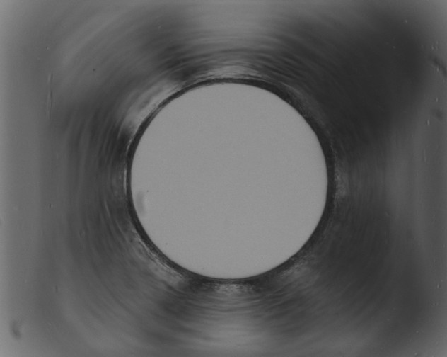 X0000103971322200810101259