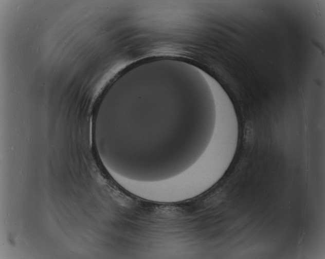 X0000103971323200810101259