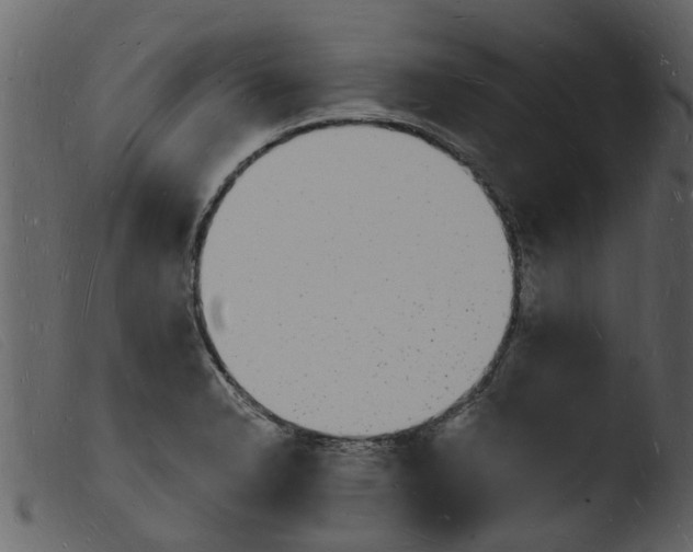 X0000103971326200810101259