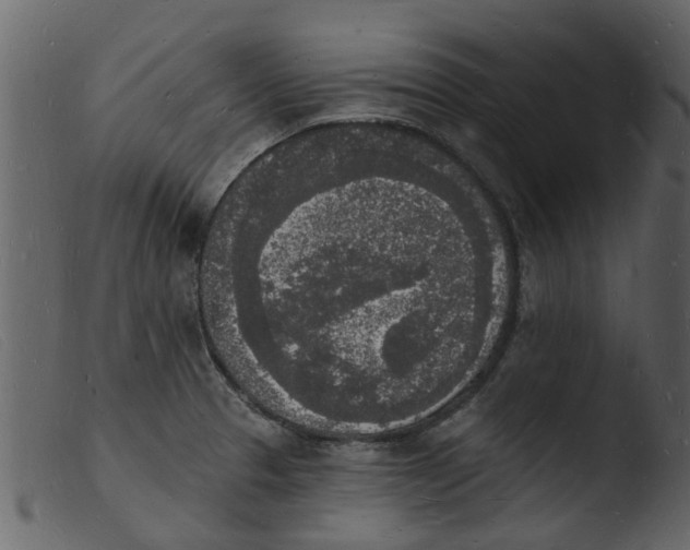 X0000103971329200810101259