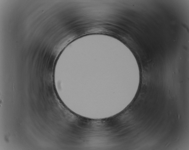 X0000103971330200810101259