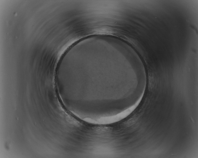 X0000103971331200810101259