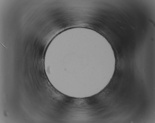 X0000103971332200810101259