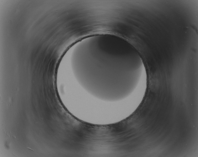 X0000103971334200810101259