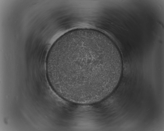 X0000103971335200810101259