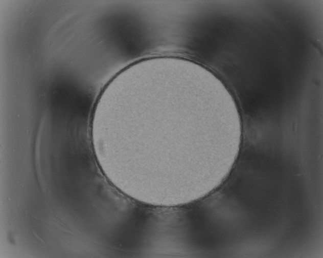 X0000103971336200810101259