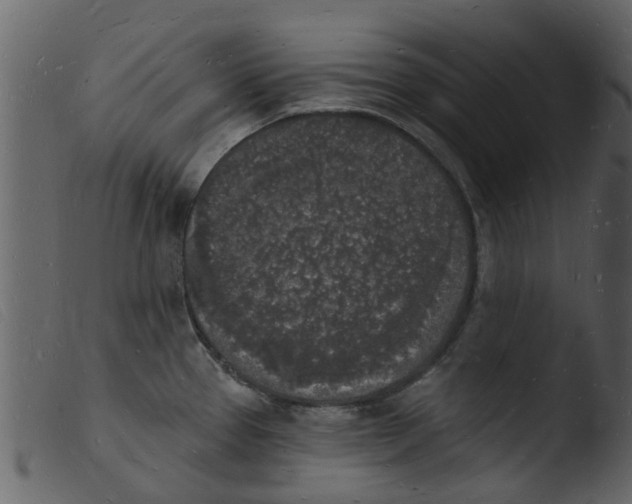 X0000103971337200810101259