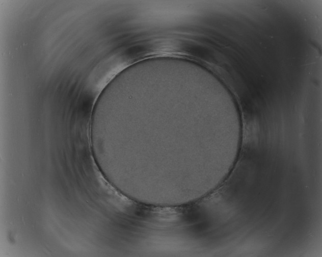 X0000103971338200810101259