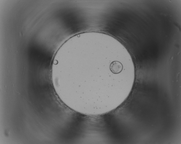 X0000103971340200810101259