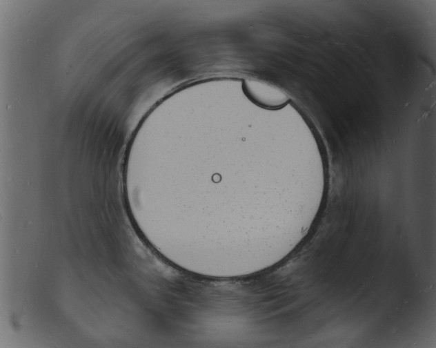 X0000103971341200810101259