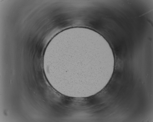 X0000103971342200810101259