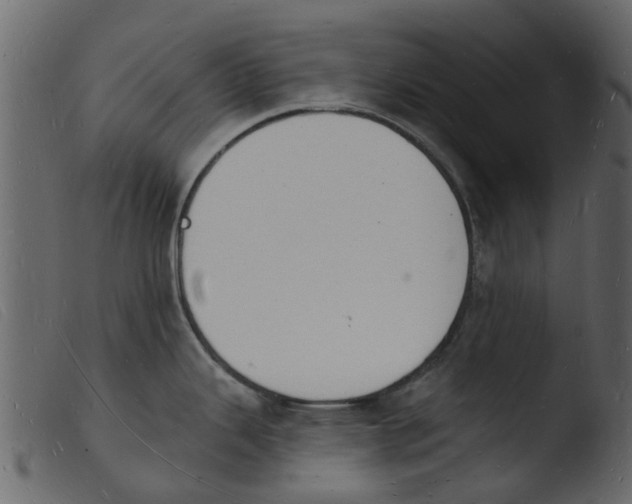 X0000103971343200810101259