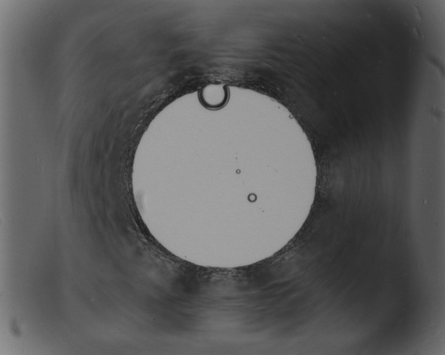 X0000103971345200810101258