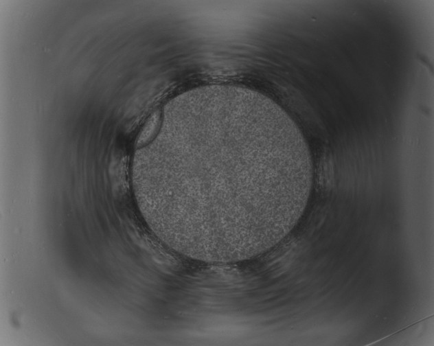 X0000103971346200810101258