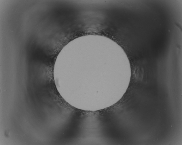 X0000103971348200810101258