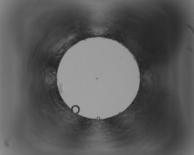 X0000103971349200810101258