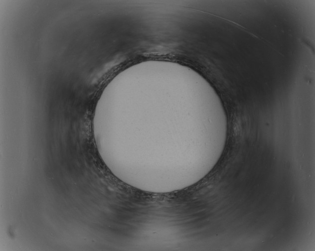 X0000103971350200810101258