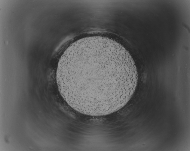 X0000103971351200810101258