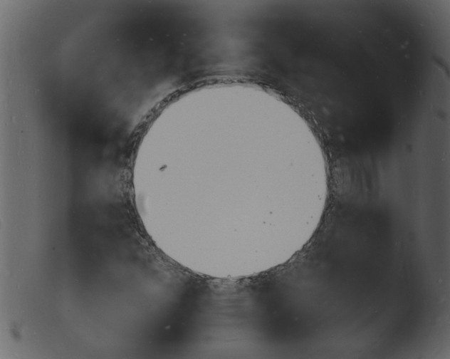 X0000103971352200810101258