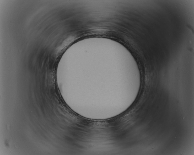 X0000103971354200810101258