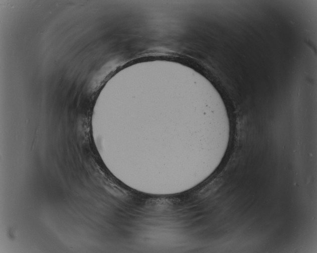 X0000103971355200810101258