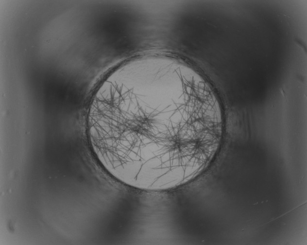 X0000103971356200810101258