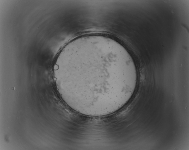 X0000103971357200810101258