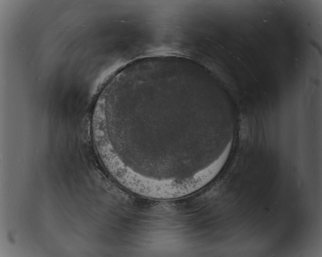 X0000103971358200810101258