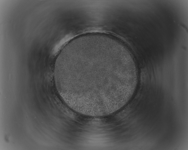 X0000103971359200810101258