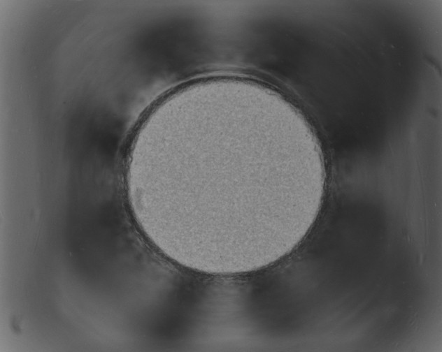 X0000103971360200810101258